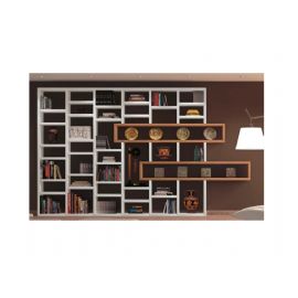 LIBRERIA MODERNA  A GIORNO CON ELEMENTI NOCE