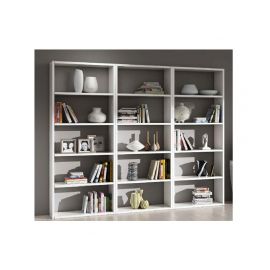 COMPOSIZIONE CON 3 LIBRERIE ACCOPPIATE