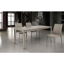 TAVOLO IN VETRO  E 1 ALL. DA CM 50