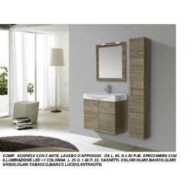 COMPOSIZIONE SOSPESA CON 2 ANTE CON LAVABO